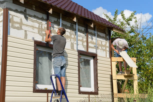 Best Stone Veneer Siding  in Venetian Vlage, IL