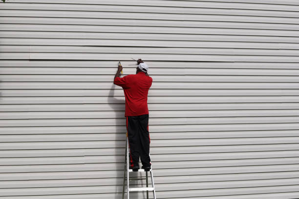 Best Insulated Siding Installation  in Venetian Vlage, IL